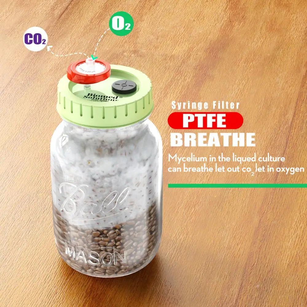 6PCS Liquid Culture Lids - Autoclavable 70mm Regular