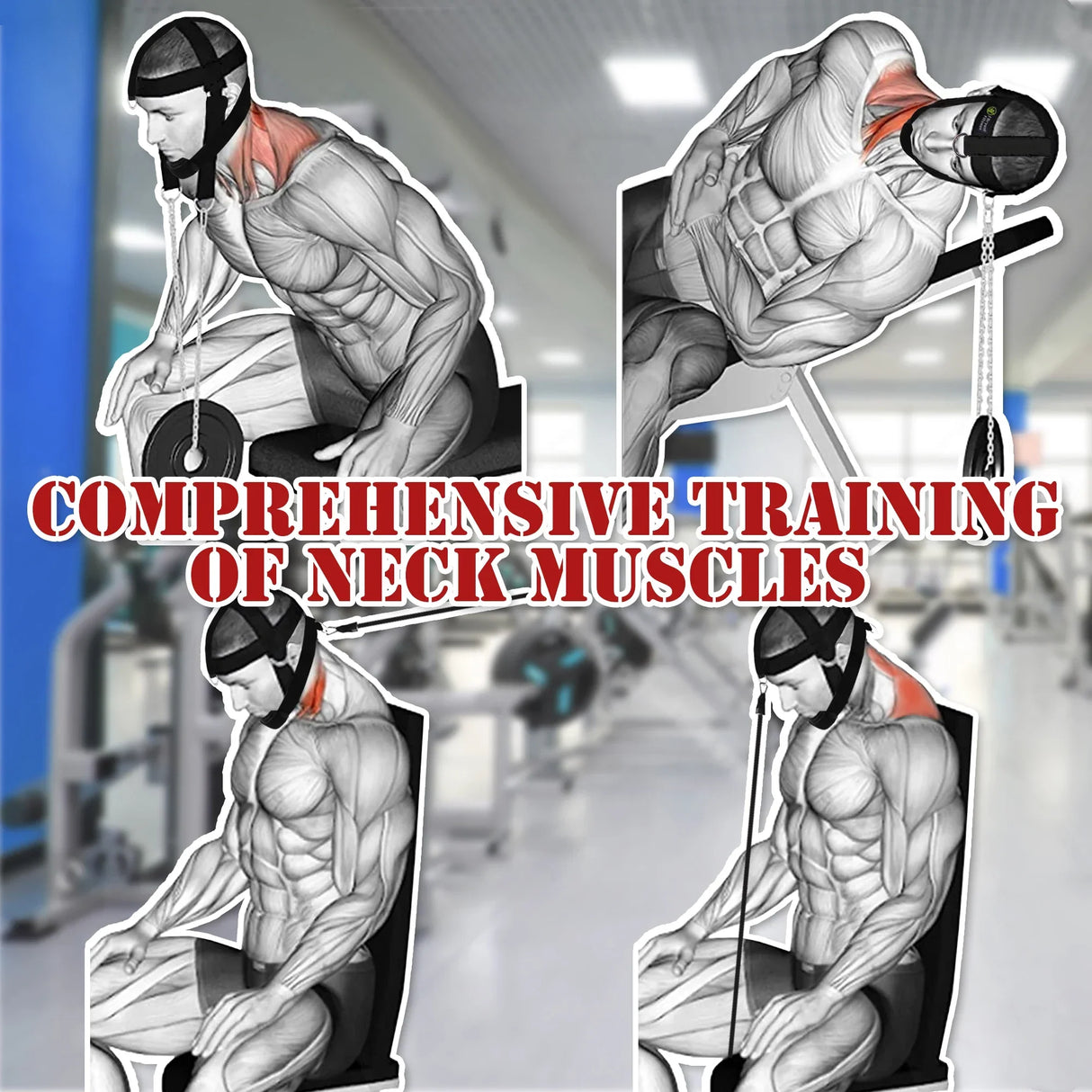 Head Neck Harness for Weight Lifting Training Diverse
