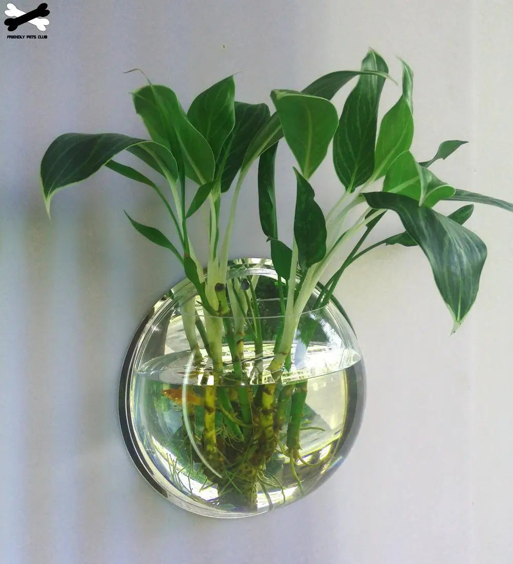Mount Fish Tank Wall-Hanging Fish Bowl Decoration Planter