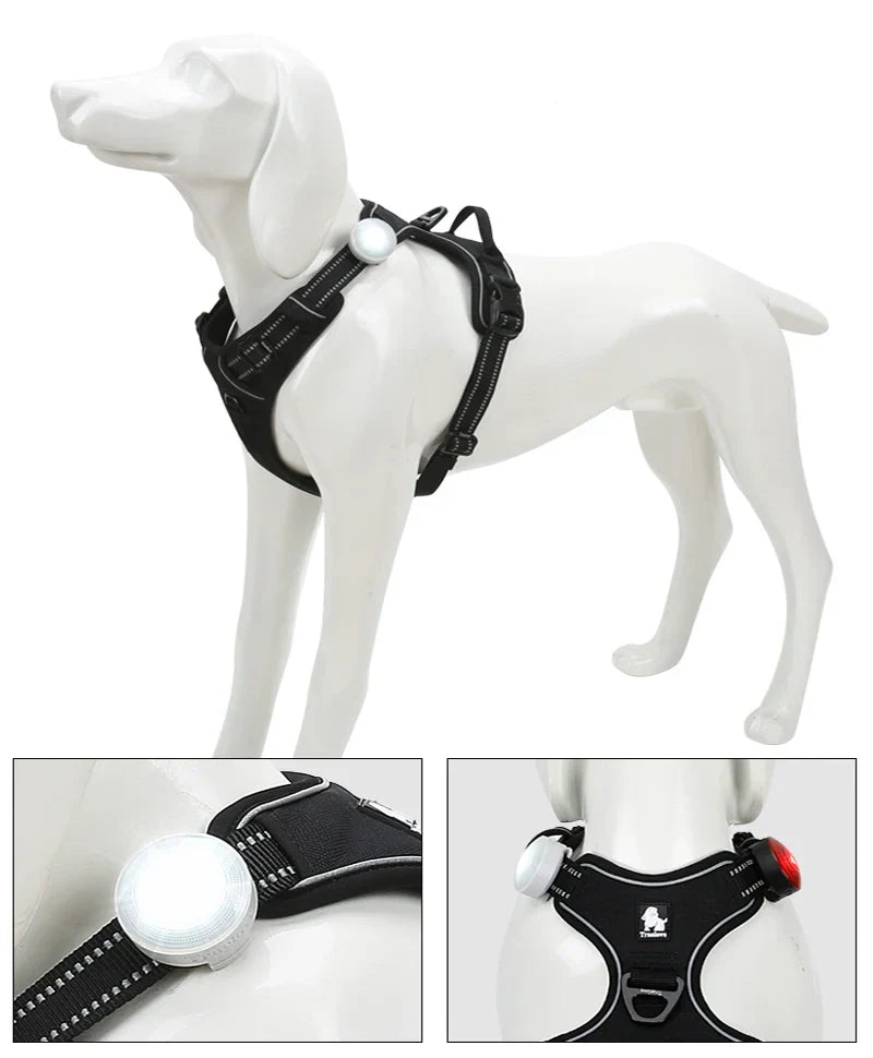 Truelove Pet Safety Flashing Dog Led Light Dog