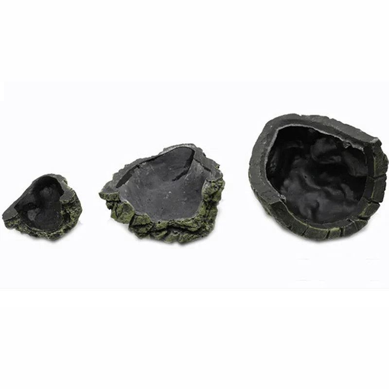 Reptile Hiding Cave Lizard Snake Turtle Hide Rest