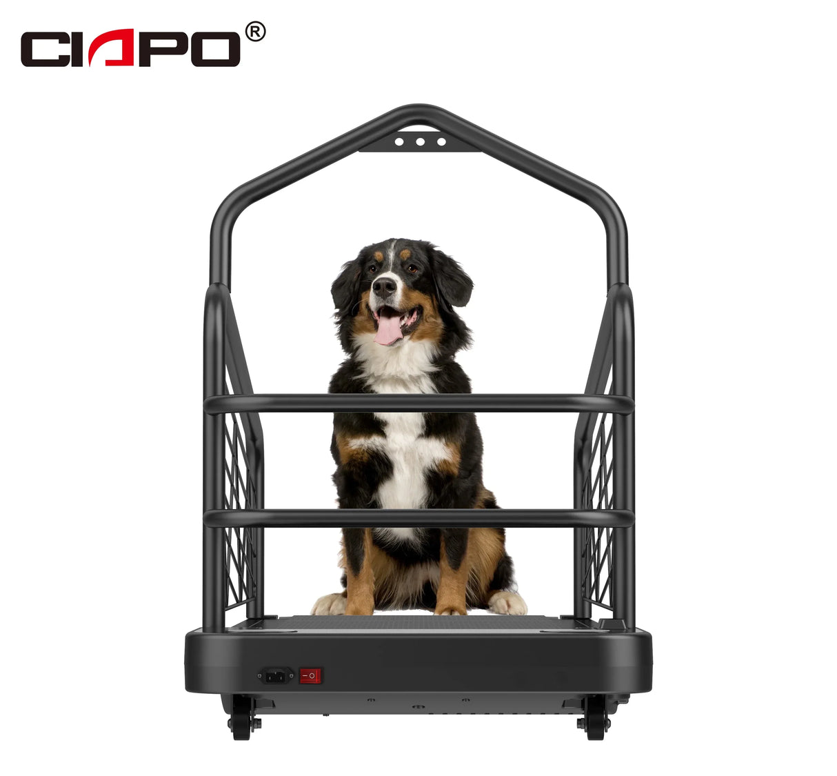 Hot Sale Dog Sport Equipment for Pet Exercise