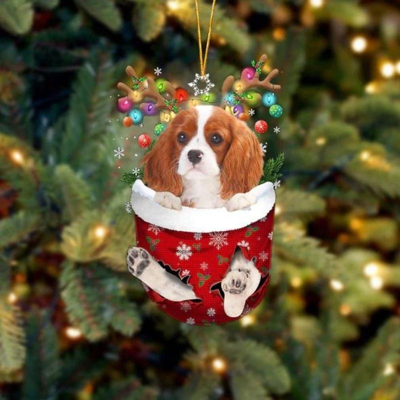 Cavalier King Charles Spaniel In Snow Pocket Christmas
