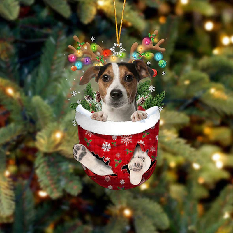 Jack Russell Terrier In Snow Pocket Christmas Ornament