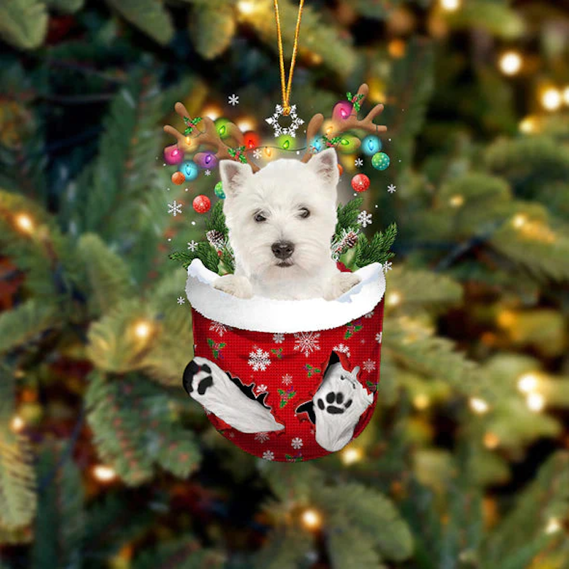 West Highland White TerrierWestie In Snow Pocket Christmas