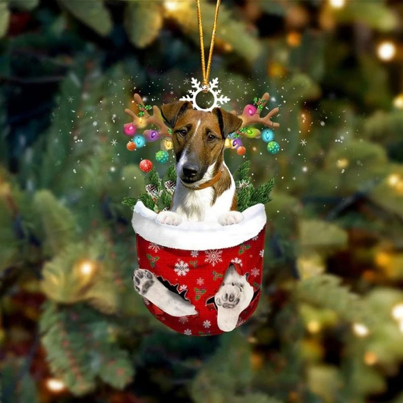 Smooth Fox Terrier Dog In Snow Pocket Christmas