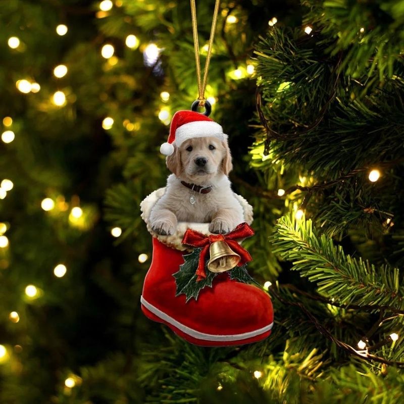 Golden Retriever Dog In Santa Boot Christmas Hanging