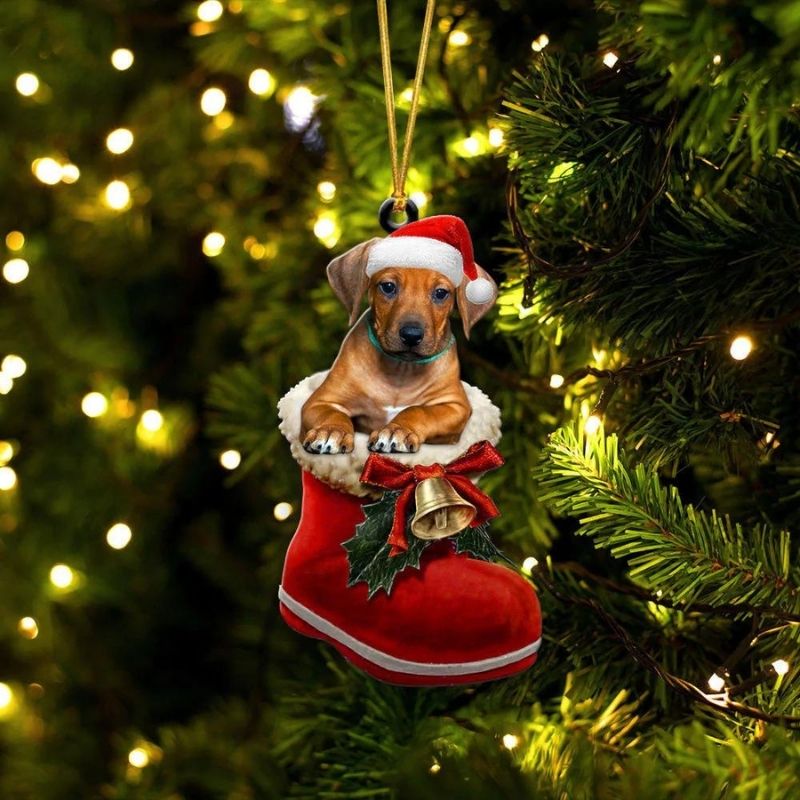 Rhodesian Ridgeback In Santa Boot Christmas Hanging Ornament