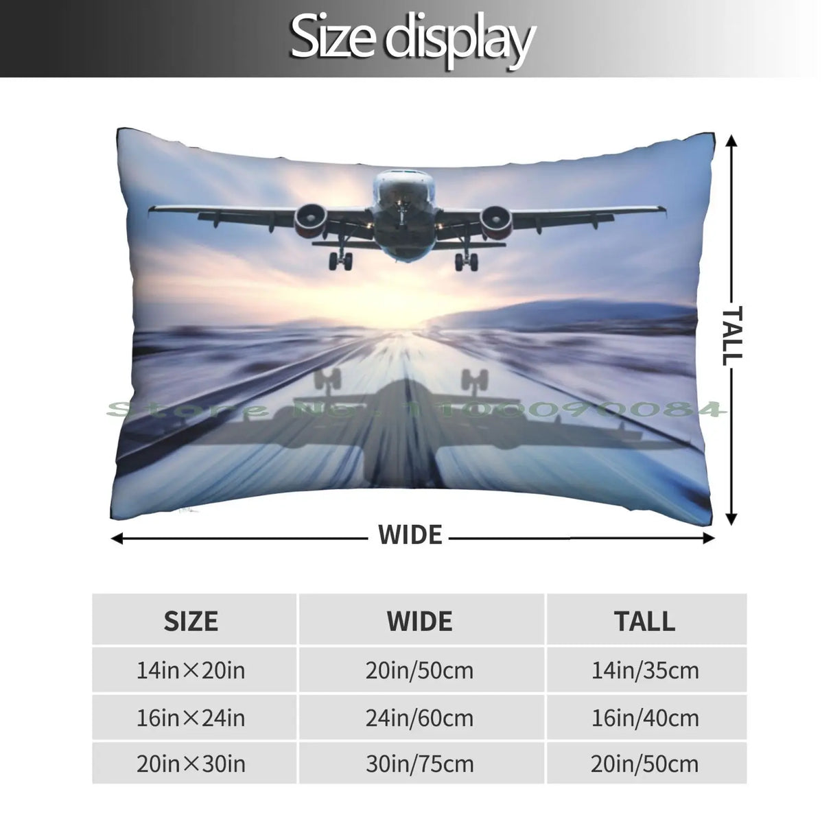 Landing Of The Passenger Plane Pillow Case 20x30