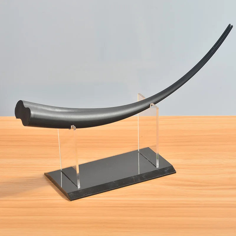 Large eyelash Model Display Teaching Training Demonstration Tool