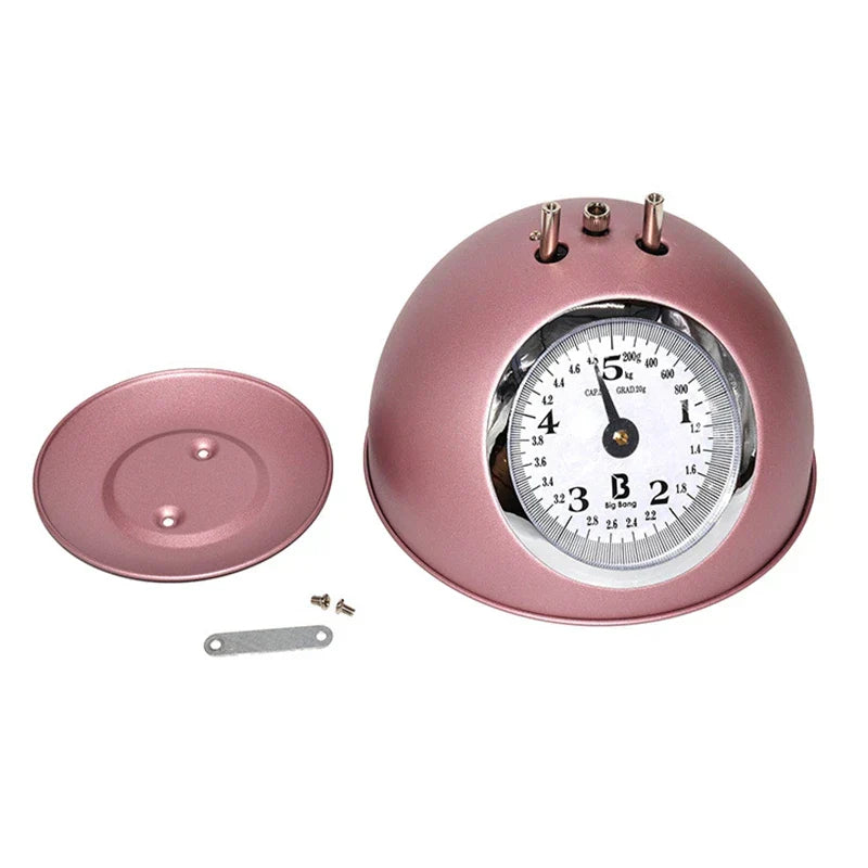Mechanical Type Restaurant Kitchen Scale Food Weighing Home