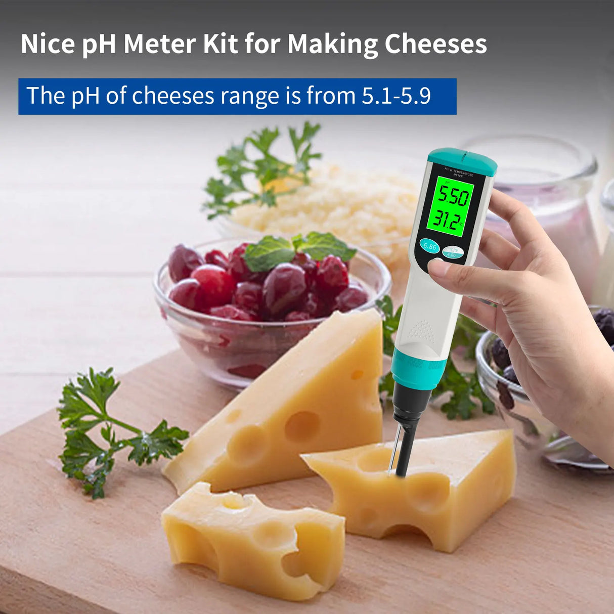 Professional Food PH Meter 0.00~14.00pH Temp pH Tester