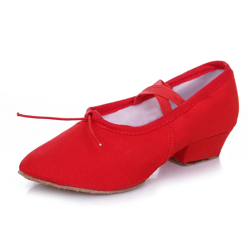 WomanLatin Dance Shoes for Girls Ladies Practise Teachers