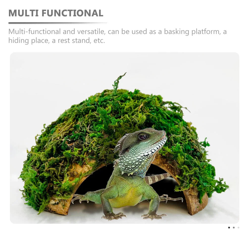 Reptile Hideout House Hamster Turtle Habitat Shelter Terrarium