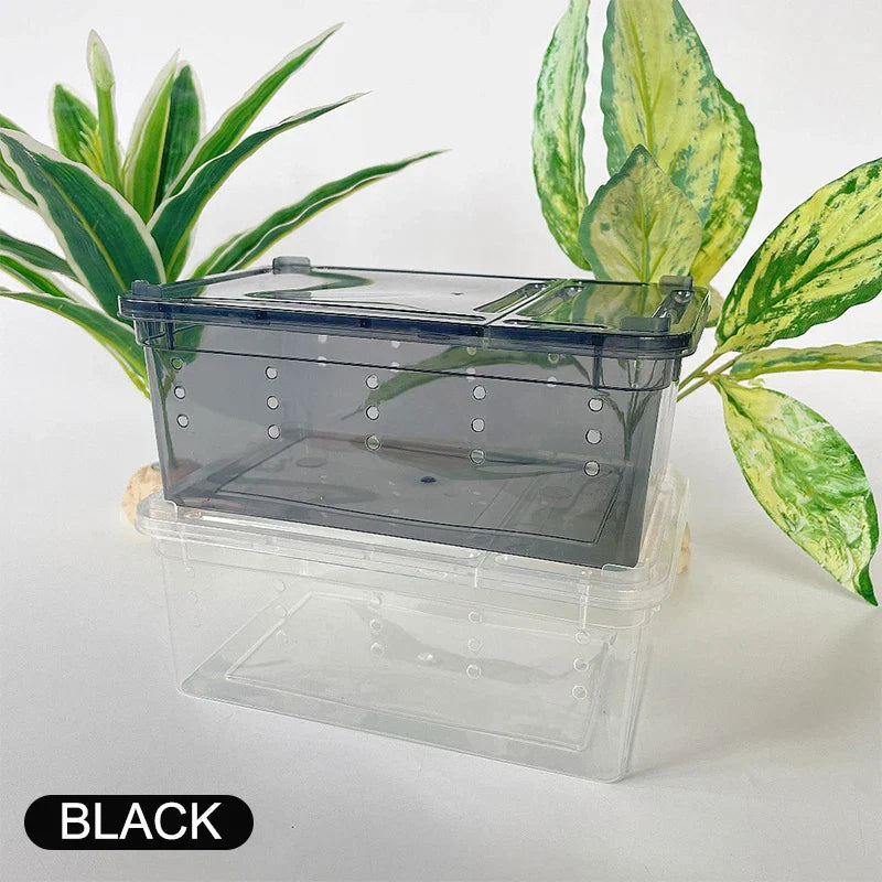 19cmx12.5cmx7.5cm Terrarium For Reptiles Spider Transparent Plastic Feeding