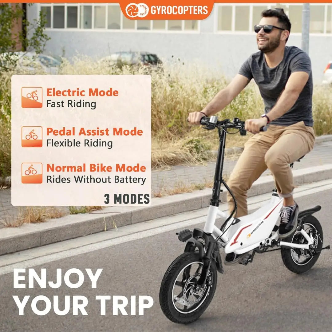 Electric Bike for Adults Folding City Ebike |
