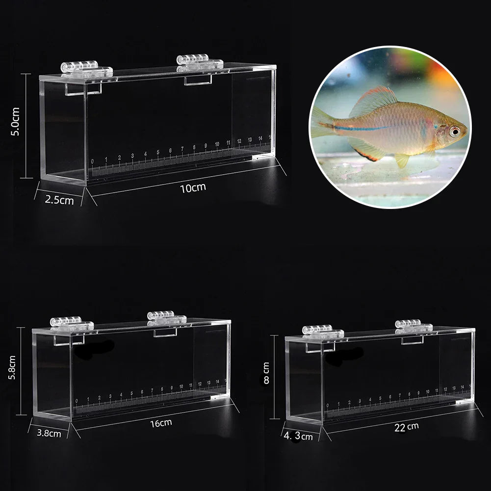 Fish Viewing Box Acrylic Material Isolation Box Betta