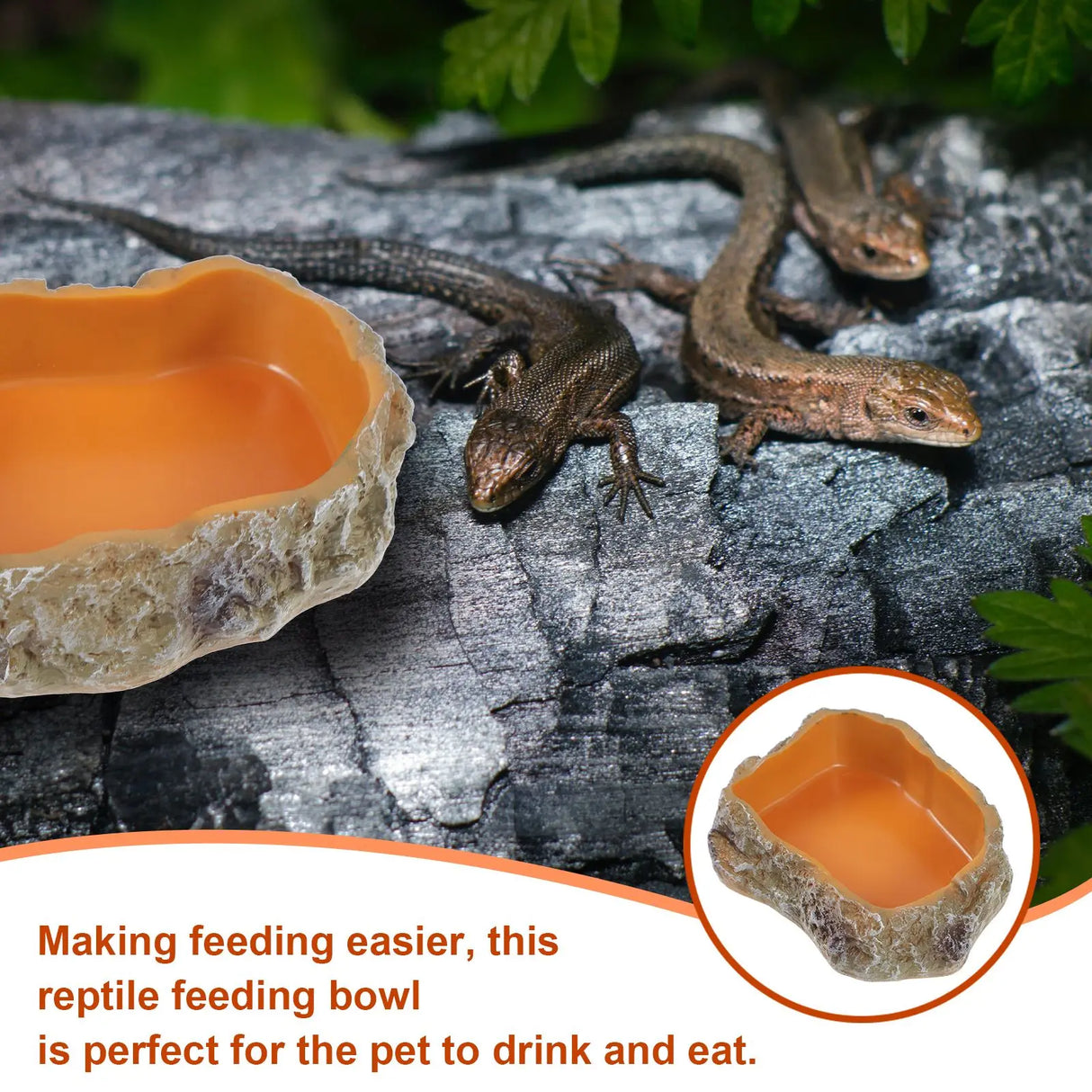 Pet Feeding Bowl Resin Reptile Food Holder Supply