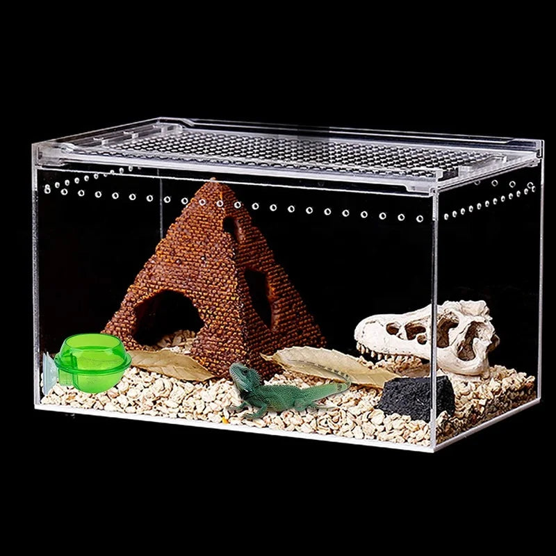Reptile Feeder Chameleon Feeding Food Bowl Water Dish