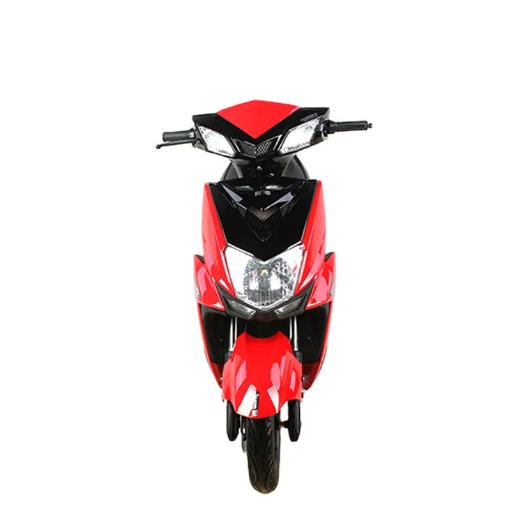 Hot Selling 1000w 60V Leader Two Wheels Adult