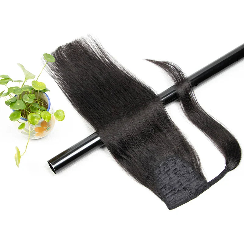 Ponytail Human Hair Clip in Extensions 100% Remy