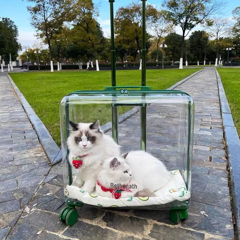 Lightweight Transparent Pet Trolley Case, Beauty Case, Professional