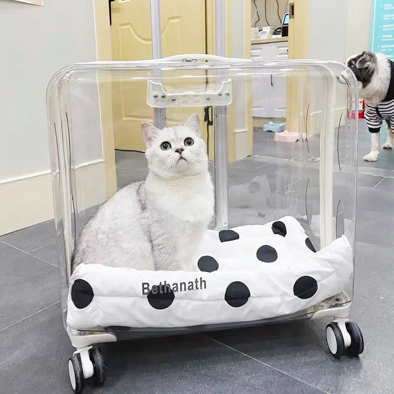 Lightweight Transparent Pet Trolley Case, Beauty Case, Professional
