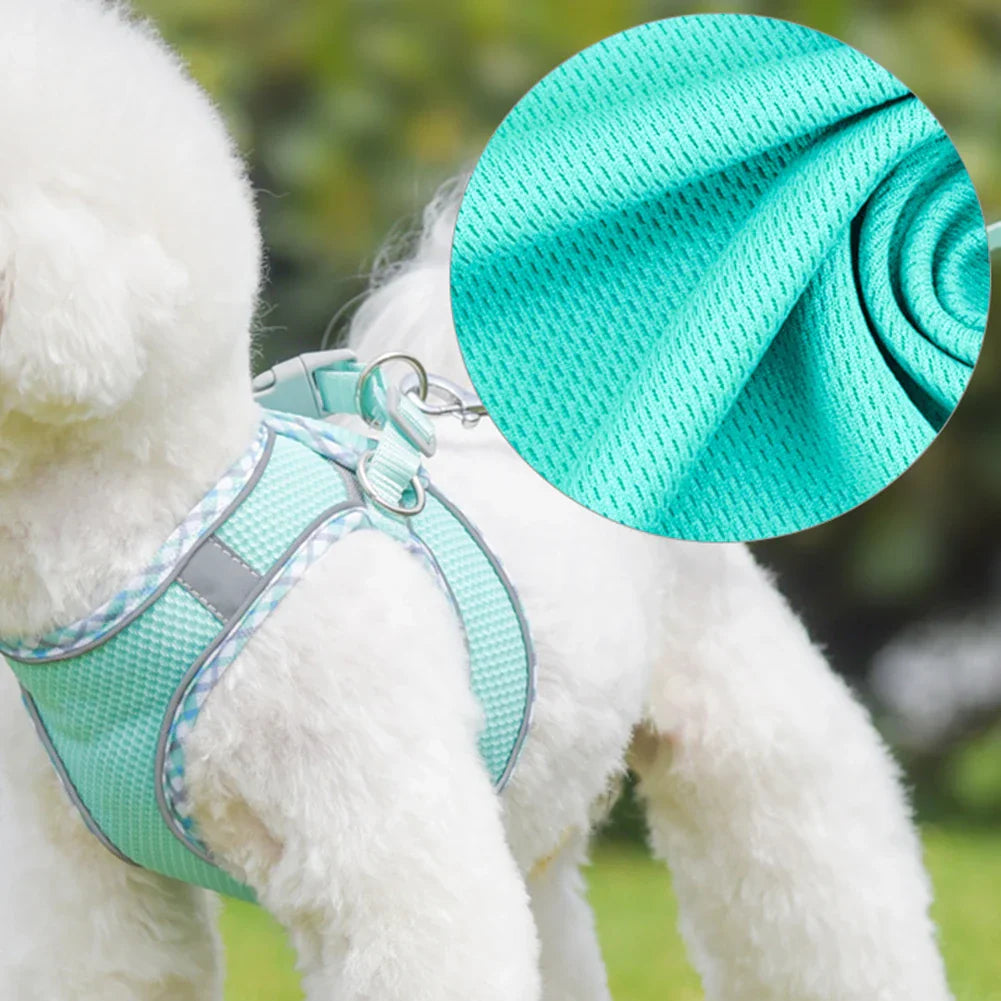 Universal Dog Halter Harness Lightweight Soft Padded Pet