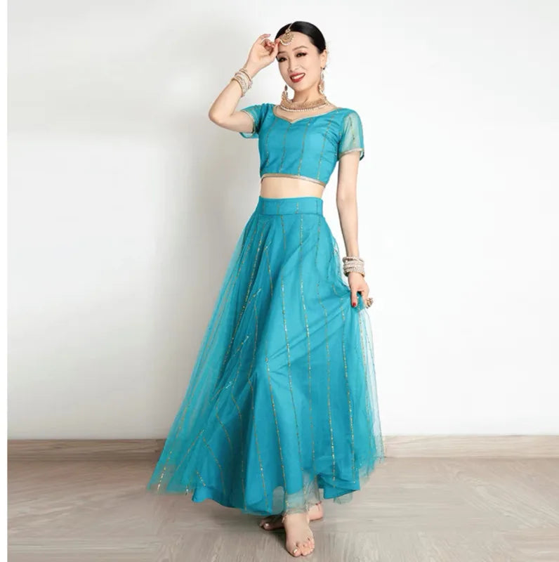 Traditional Indian Clothing Pakistani Sari Womens Elegant Dress