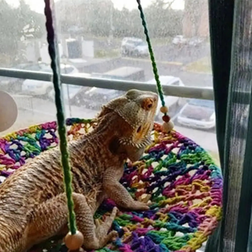 Reptile Hammock Hand Woven Strong Load-bearing Gecko Lizard