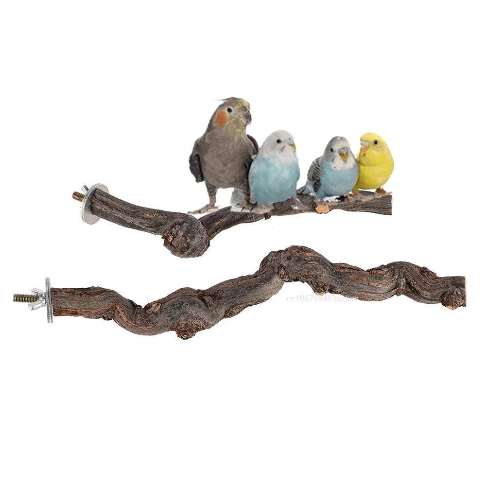 Pet Parrot Bird Standing Stick Grape Wood Pole