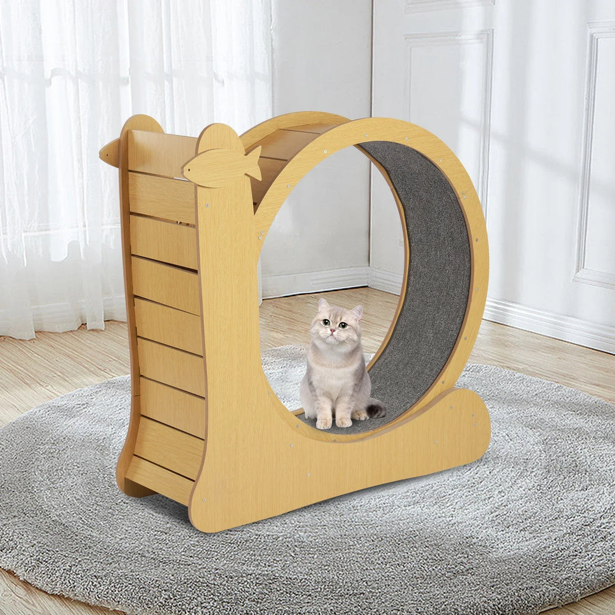 Fitness Exercise Wheel for Cats, Large Cat Treadmill