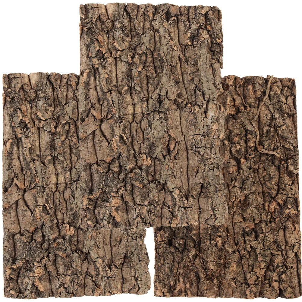 Bark Reptile Cork Tree Terrarium Background Climbing Tank