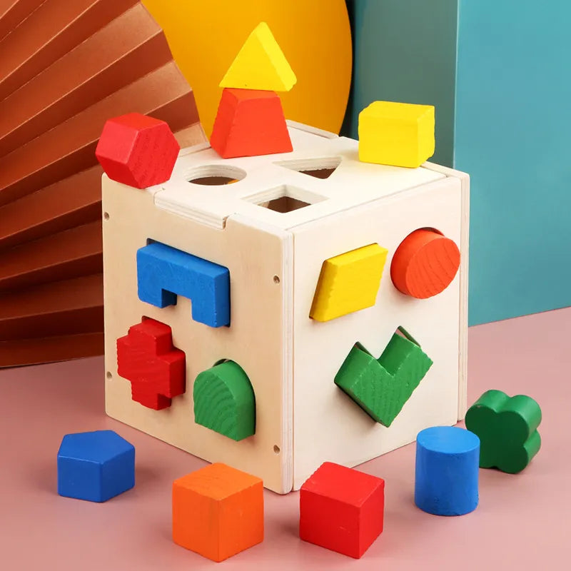 Montessori Hole Intelligence Box Geometric Shapes 3D Puzzle