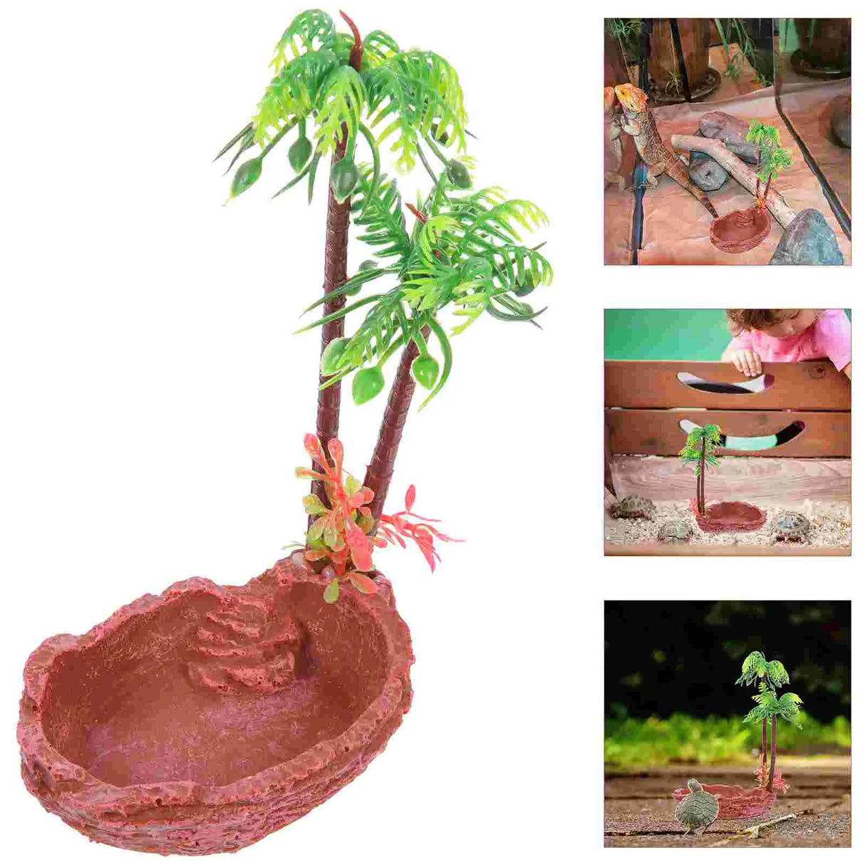Bowl Reptile Water Dish Tortoise Feeding Turtle Snake
