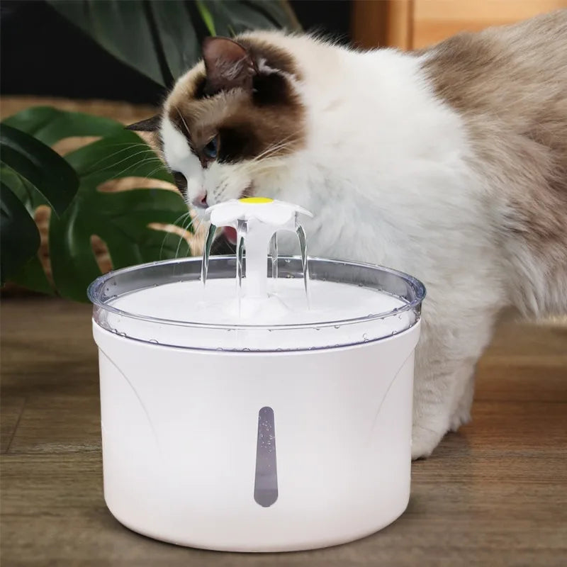 Automatic Feeders for Dogs, Convenience Drinker, Feeding and