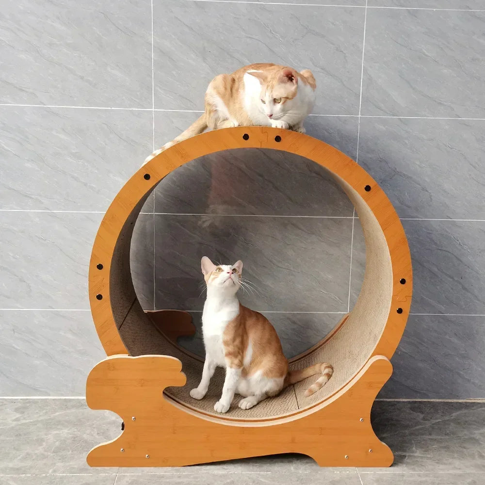 Cat Wheel Running Cat Claw Treadmill Brake Exercise