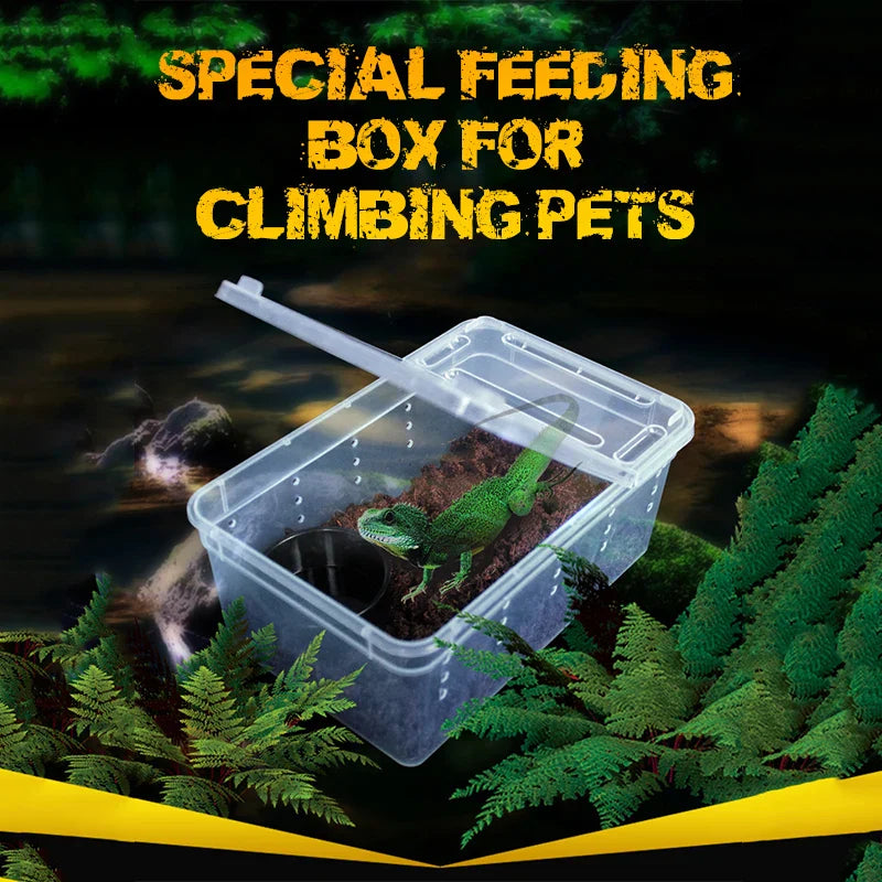 1pc Terrarium for Reptiles Spider Transparent Plastic Feeding