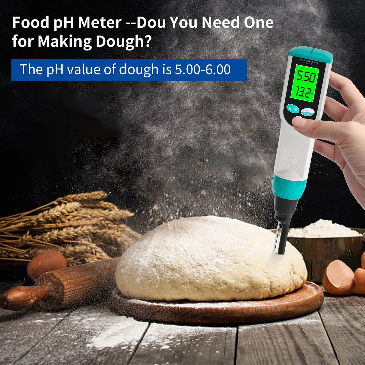 Professional Food PH Meter 0.00~14.00pH Temp pH Tester