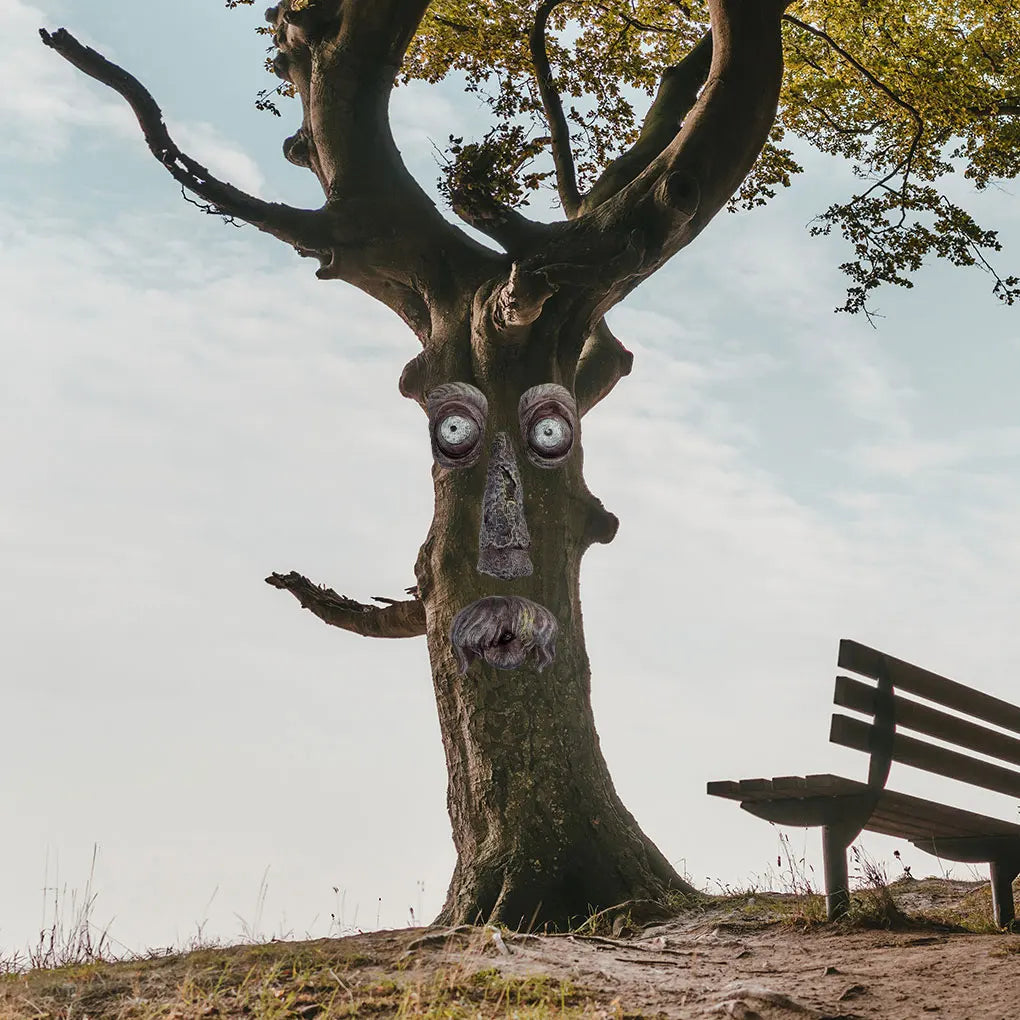 Bark Ghost Face Facial Features Old Man Tree