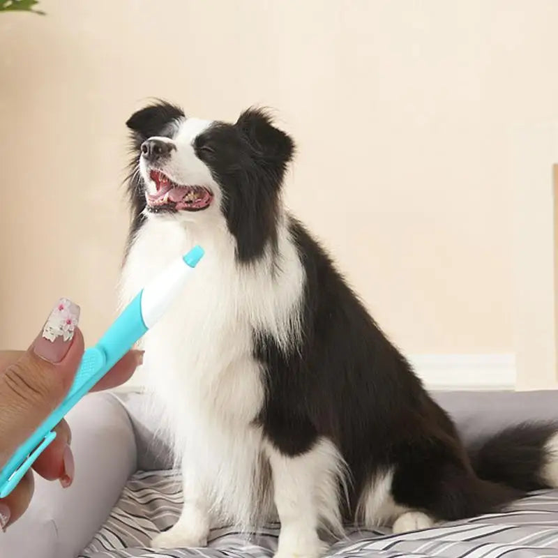 Tick Remover Tweezer Safe Portable Tic Control Puller