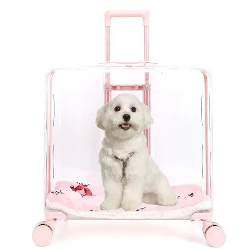 Stroller Kitten Cat Carriers Crate Backpack Transporter Cat