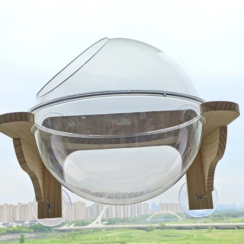 Wall Shelves for Large Cats, Tall Tower, Trees