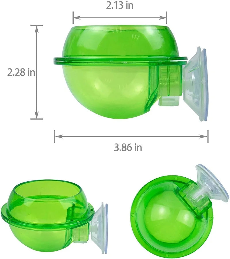 Reptile Feeder Chameleon Feeding Food Bowl Water Dish