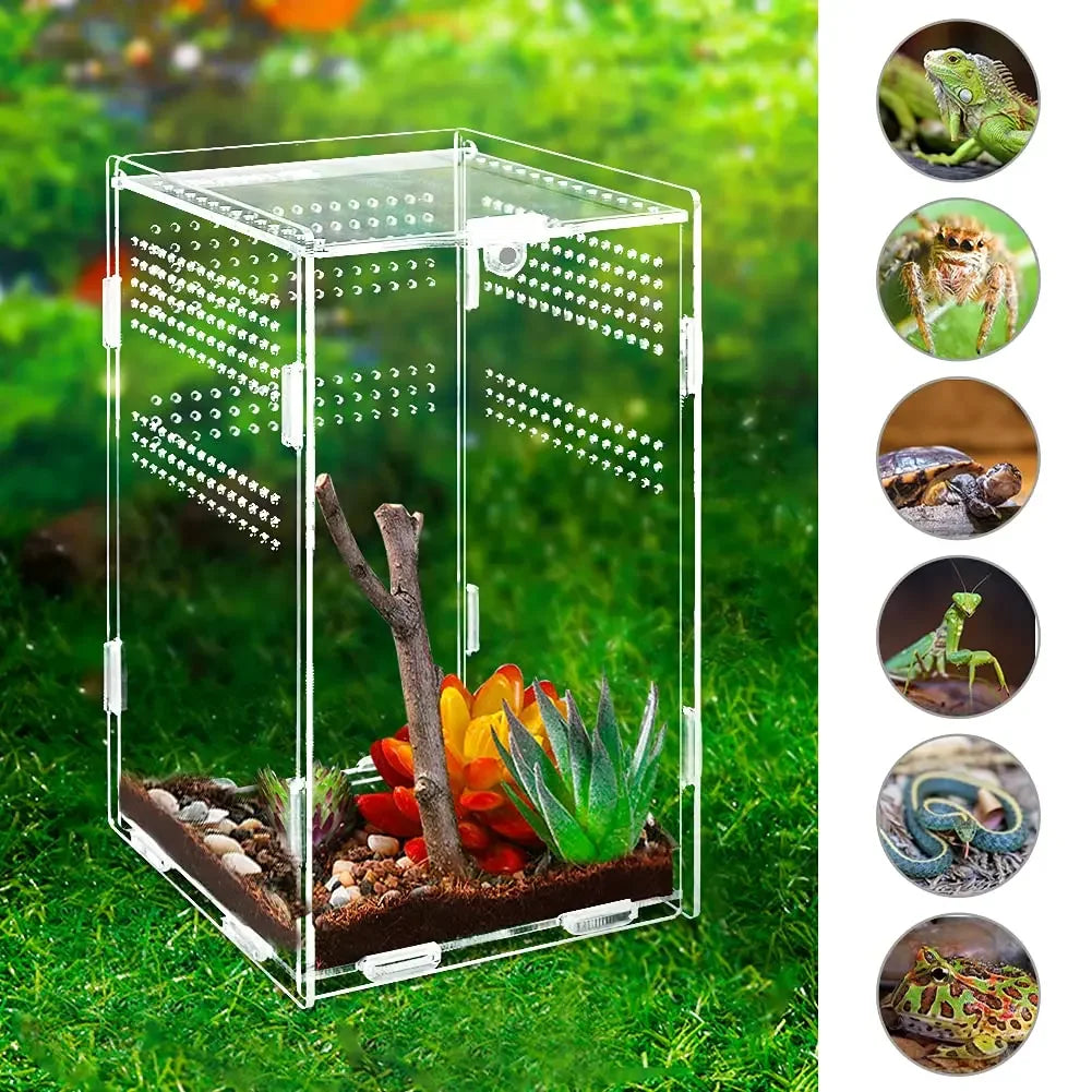 Magnetic Acrylic Case Nano Arboreal Tarantula Enclosure Reptile