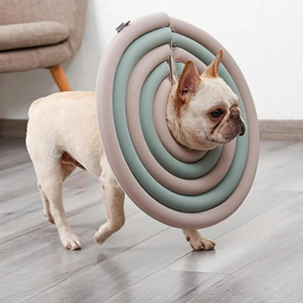 Pet Cat Surgery Wound Collar Healing Protective Cone