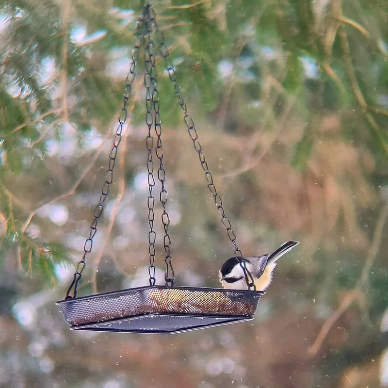 Metal Mesh Hanging Bird Feeder Tray, Platform Seed