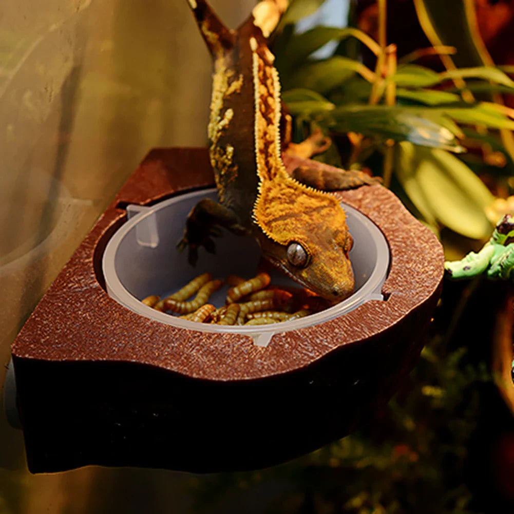 New Reptile Gecko Food Water Bowl Magnetic Adsorption