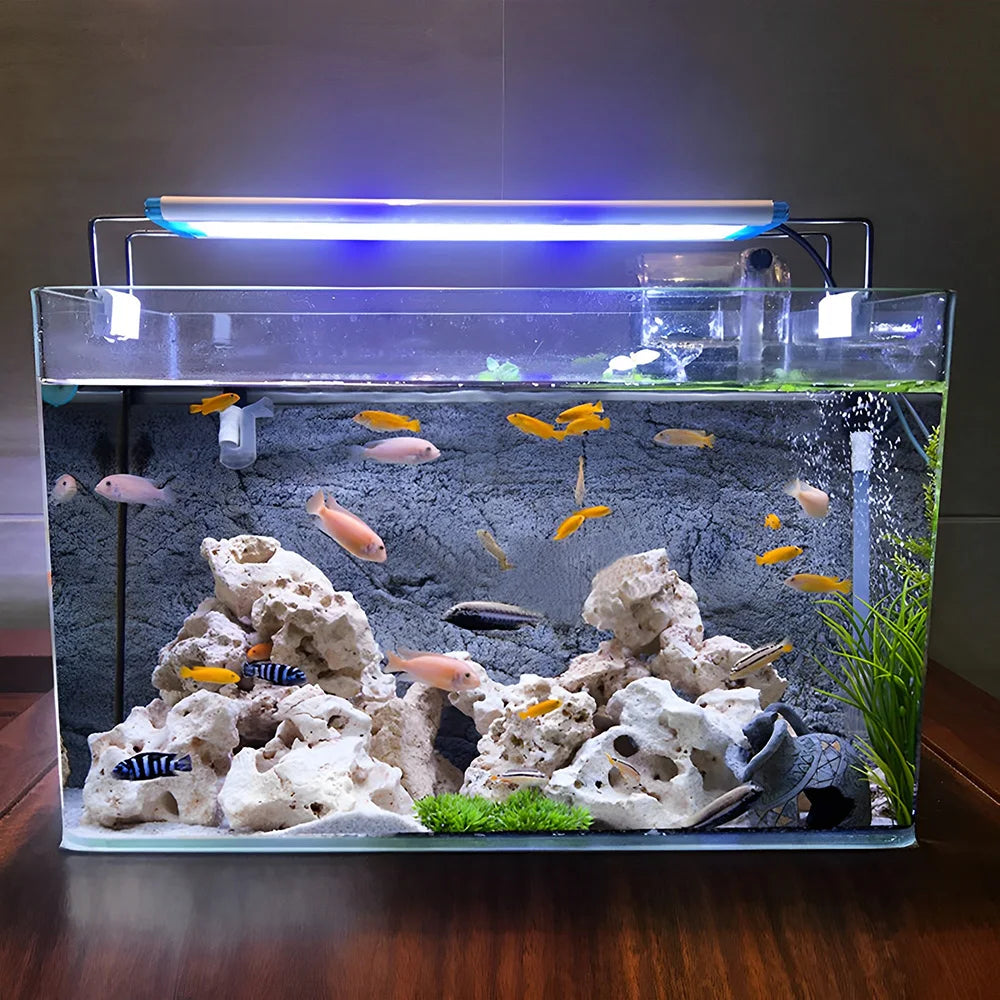 Fish Tank Transparent Glass Rectangular Aquarium Small And