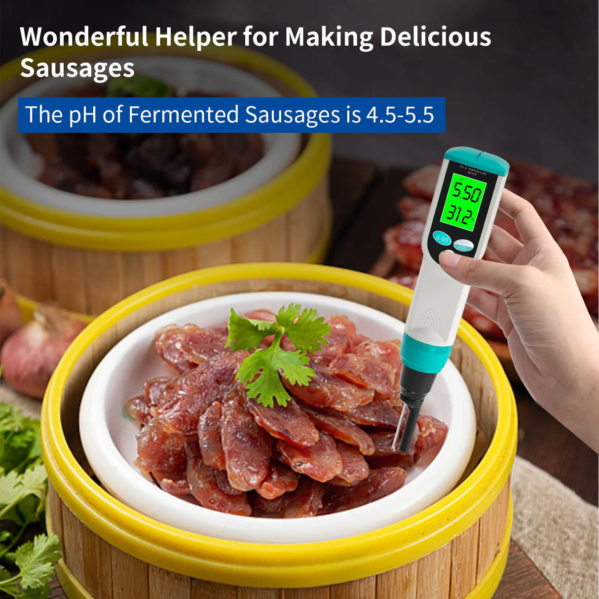Professional Food PH Meter 0.00~14.00pH Temp pH Tester